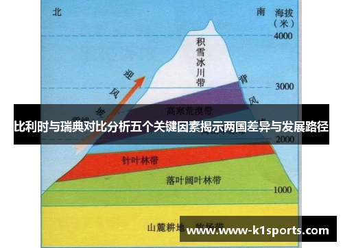 比利时与瑞典对比分析五个关键因素揭示两国差异与发展路径