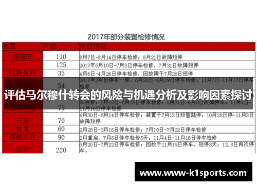 评估马尔穆什转会的风险与机遇分析及影响因素探讨
