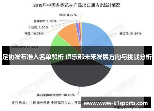 足协发布准入名单解析 俱乐部未来发展方向与挑战分析 足协发布准入名单解析 俱乐部未来发展方向与挑战分析