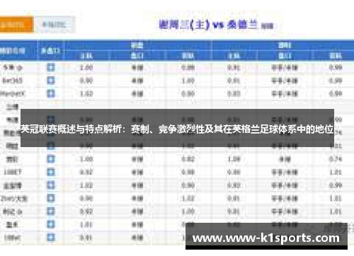英冠联赛概述与特点解析：赛制、竞争激烈性及其在英格兰足球体系中的地位