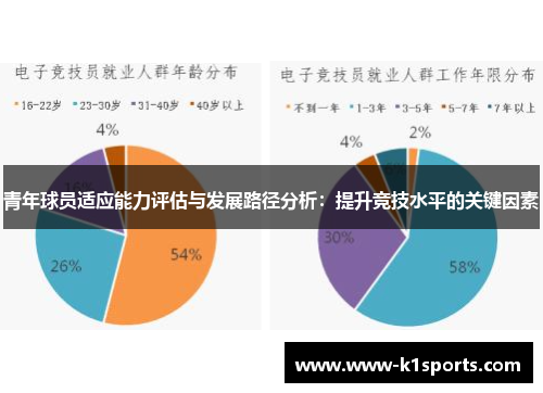 青年球员适应能力评估与发展路径分析:提升竞技水平的关键因素 青年球员适应能力评估与发展路径分析:提升竞技水平的关键因素