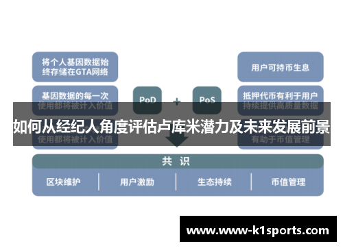 如何从经纪人角度评估卢库米潜力及未来发展前景